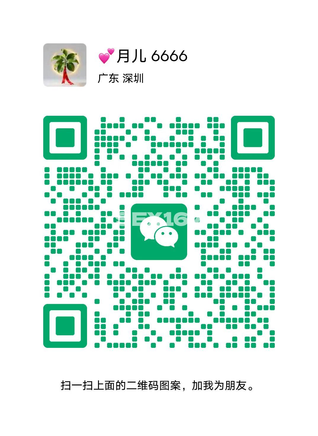mmexport1777899202284.jpg